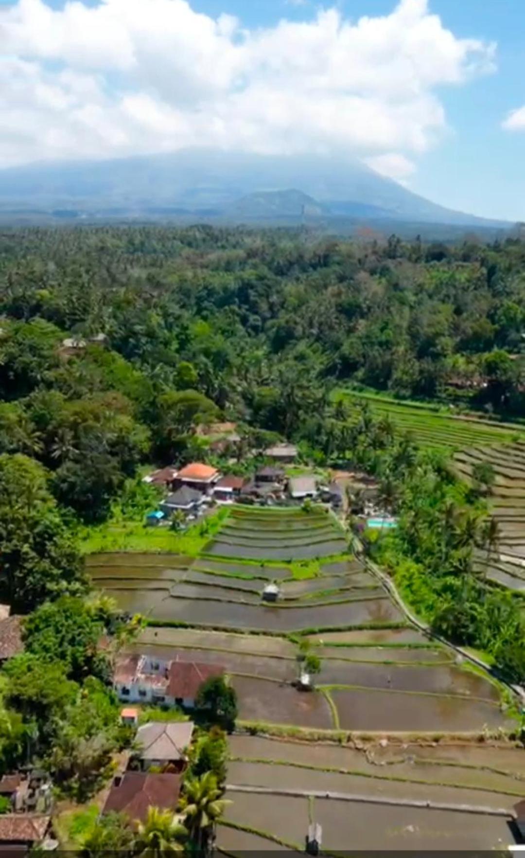 Dau Homestay Karangasem  Exterior photo